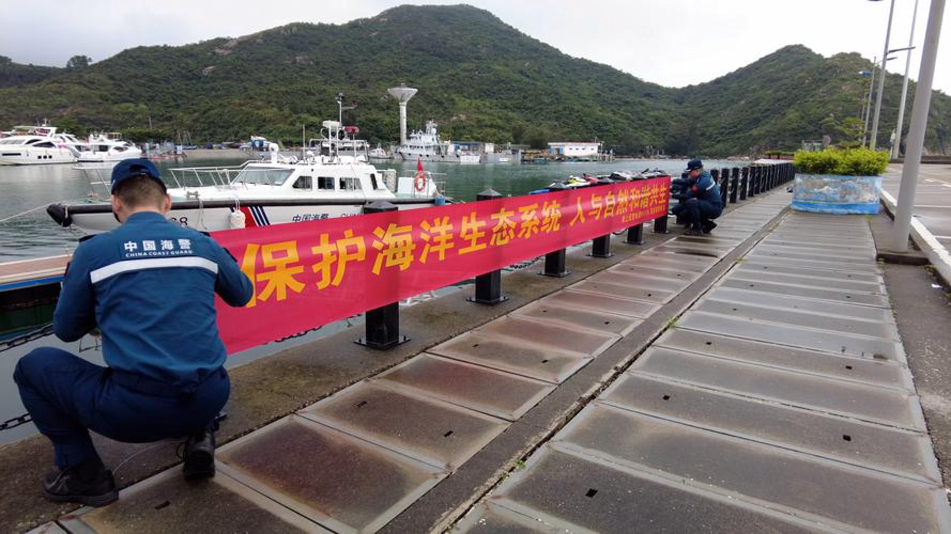 派特生物科技